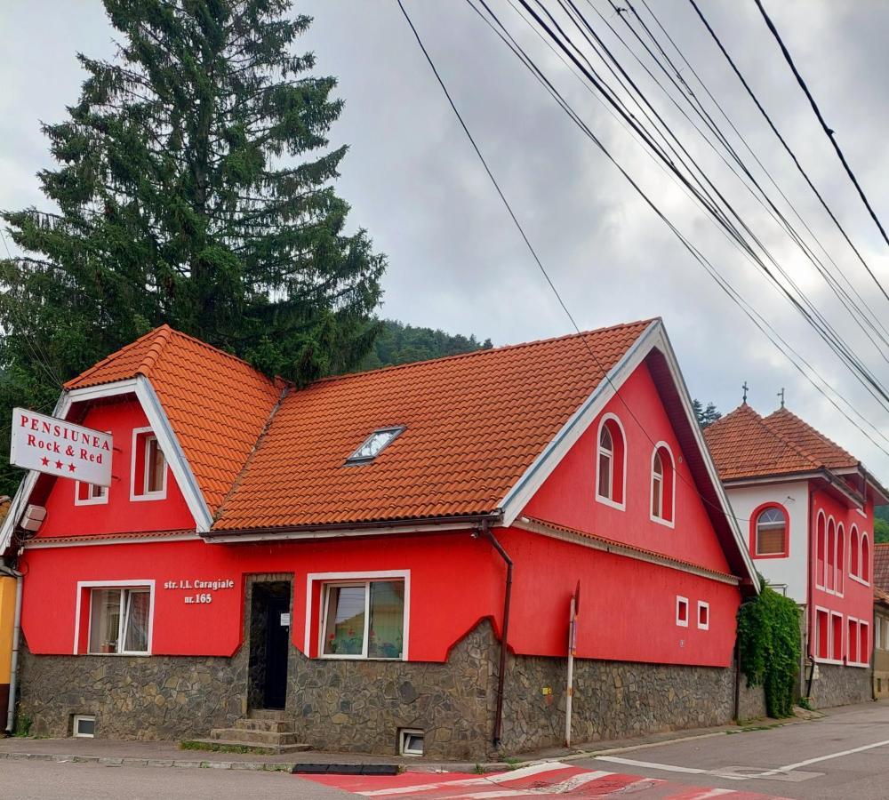 Pensiunea Rock And Red Risnov Exterior photo